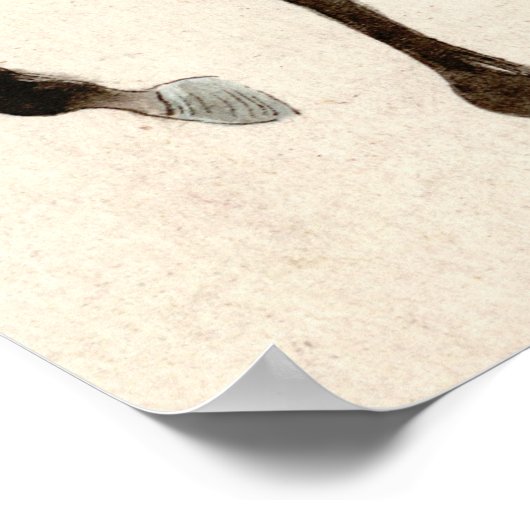 Samurai op Horseback 1878 Poster (Hoek)