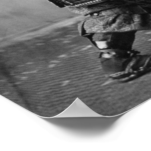 Samurai Stance Poster (Hoek)