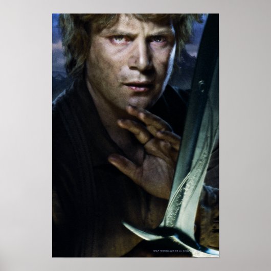 Samwise Poster (Voorkant)