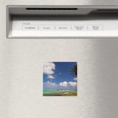 San Andres Magnet (Insitu (Vaatwasser))