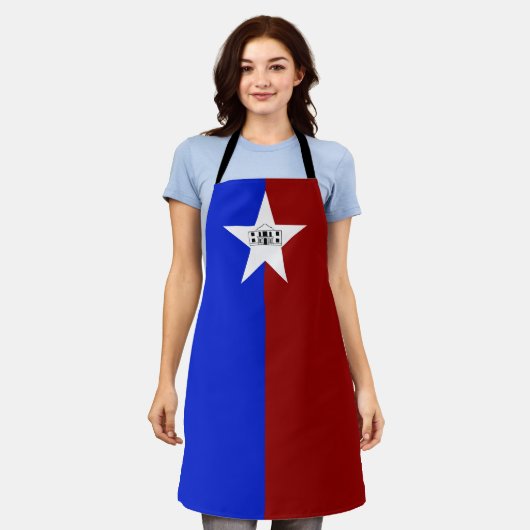 San Antonio City vlag Apron Schort (Gedragen)