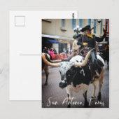 San Antonio Longhorn Briefkaart (Voorkant / Achterkant)