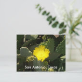 San Antonio, Texas Briefkaart (Staand voorkant)
