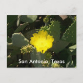 San Antonio, Texas Briefkaart (Voorkant)