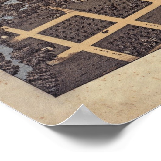 San Antonio TX Bird's Eye Panoramic Map 1873 Poster (Hoek)