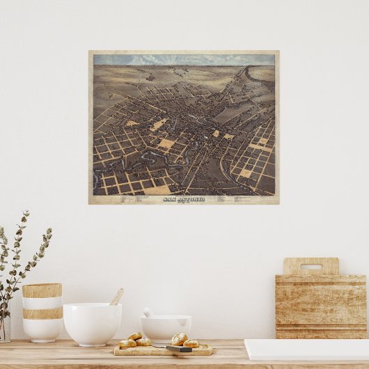 San Antonio TX Bird's Eye Panoramic Map 1873 Poster (Keuken)