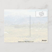 San Bernardino Bergen, sneeuw, bloemen Briefkaart (Achterkant)