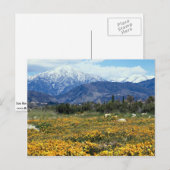 San Bernardino Bergen, sneeuw, bloemen Briefkaart (Voorkant / Achterkant)