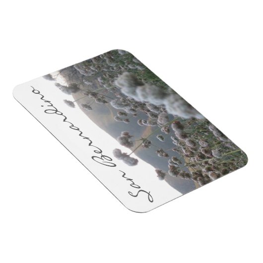 San Bernardino Magneet (Rechterzijde)