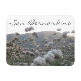 San Bernardino Magneet