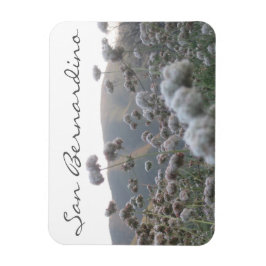 San Bernardino Magneet