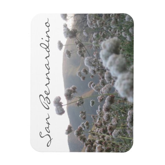 San Bernardino Magneet (Verticaal)