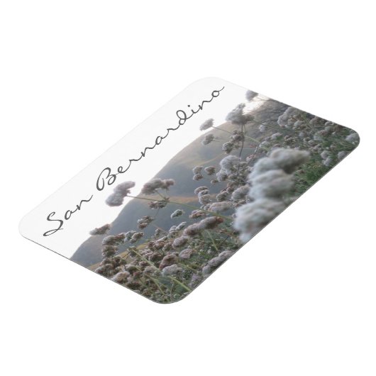 San Bernardino Magneet (Linkerzijde)