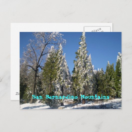 San Bernardino Mountains Briefkaart (Voorkant / Achterkant)