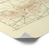 San Bernardino quadrangle toont San Andreas Rift Poster (Hoek)