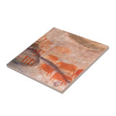 San, Bushman Rock Art, Cederberg Wilderness Tegeltje (Zijkant)