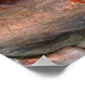 San, Bushman Rotskunst, Cederberg Wilderness Poster (Hoek)