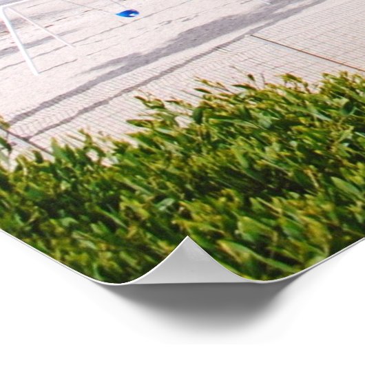 SAN CLEMENTE BEACH, CALIFORNIA, VS POSTER (Hoek)