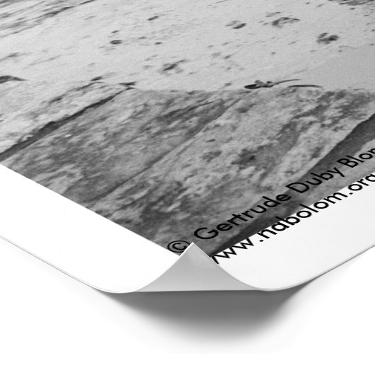 San Cristobal de Las Casas, Chiapas, Mexico Poster (Hoek)