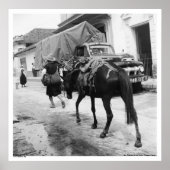 San Cristobal de Las Casas, Chiapas, Mexico Poster (Voorkant)