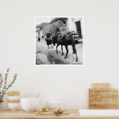 San Cristobal de Las Casas, Chiapas, Mexico Poster (Keuken)