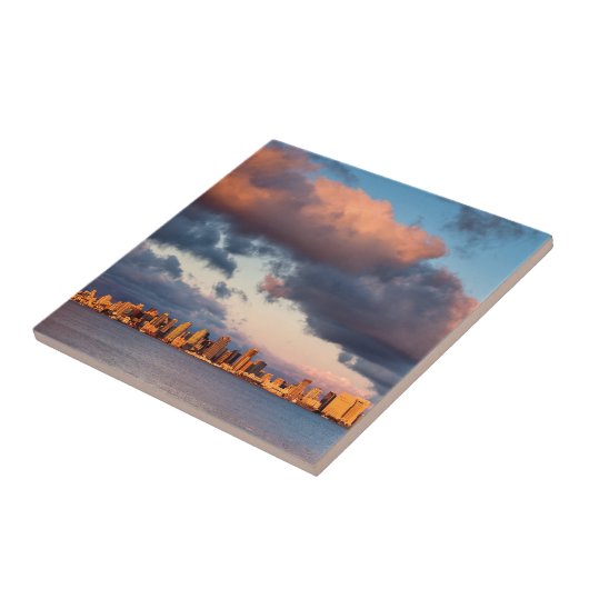 San Diego Bay City Skyline Tegeltje (Zijkant)