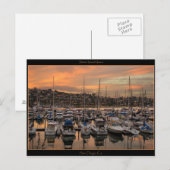 San Diego California Marina Post Card Briefkaart (Voorkant / Achterkant)