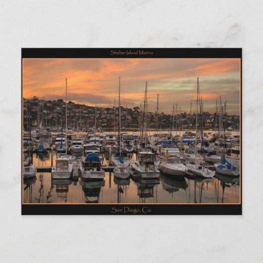 San Diego California Marina Post Card Briefkaart (Voorkant)