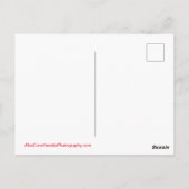 San Diego, Californië-Briefkaart Briefkaart (Achterkant)