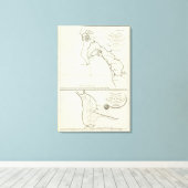 San Diego, Californië Canvas Afdruk (Insitu (Houten vloer))