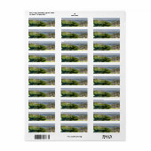 San Diego Etiket (Full Sheet)