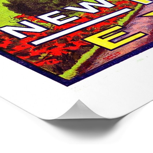 San Diego Exposition 1916 Poster (Hoek)