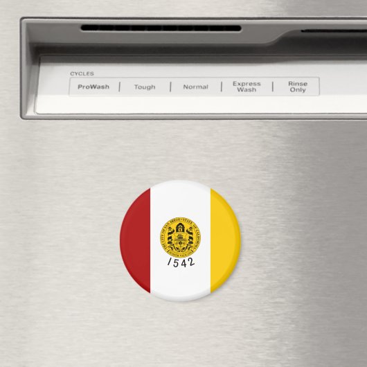 San Diego Flag Magneet (Insitu (Vaatwasser))