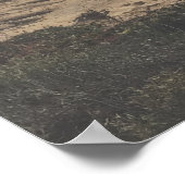 San Diego Foto Torrey Pines Beach Grote Print (Hoek)