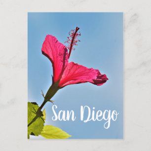 San Diego Hibiscus Feestdagenkaart