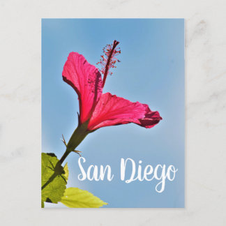 San Diego Hibiscus Feestdagenkaart