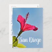 San Diego Hibiscus Feestdagenkaart (Voorkant / Achterkant)