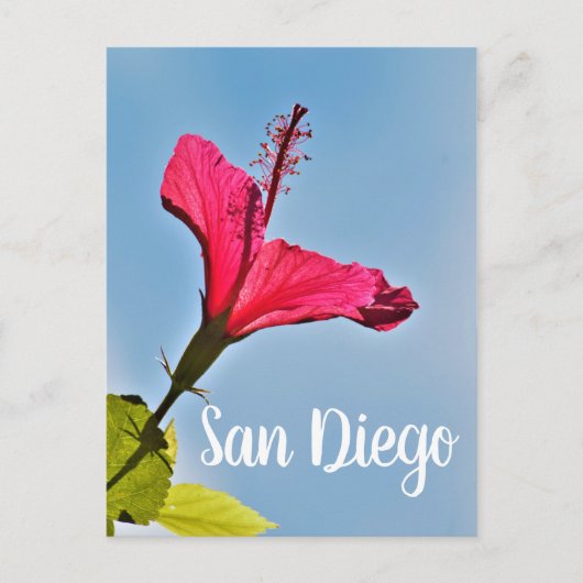 San Diego Hibiscus Feestdagenkaart (Voorkant)