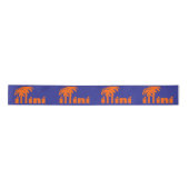 San Diego Illini Ribbon Satijnen Lint (Voorkant)