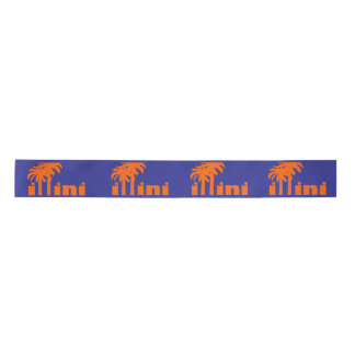 San Diego Illini Ribbon Satijnen Lint