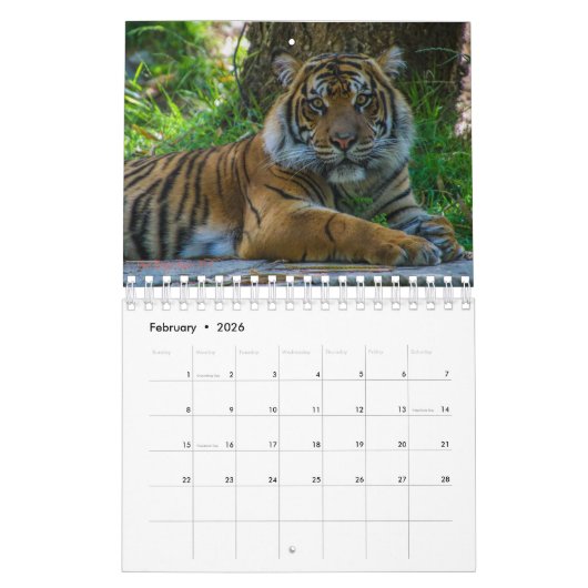 San Diego Kalender (Feb 2026)