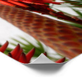 San Diego Mission Poster (Hoek)