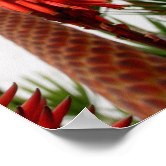 San Diego Mission Poster (Hoek)