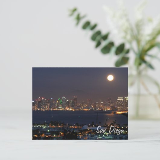 San Diego night skyline Briefkaart (Staand voorkant)
