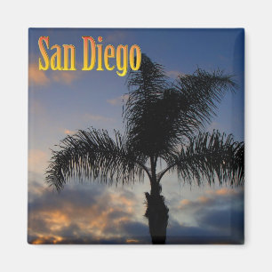 San Diego Palm Tree Magnet