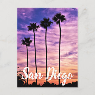 San Diego Palm Tree Sunset Feestdagenkaart