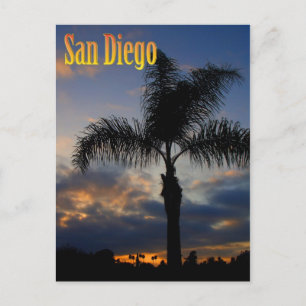 San Diego Palm Tree Sunset Postcard Briefkaart