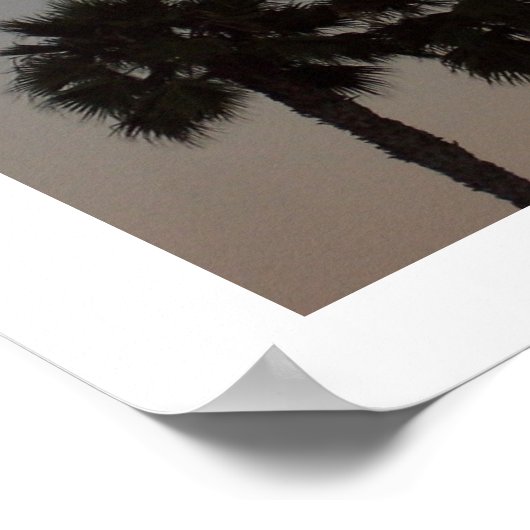 San Diego Poster (Hoek)