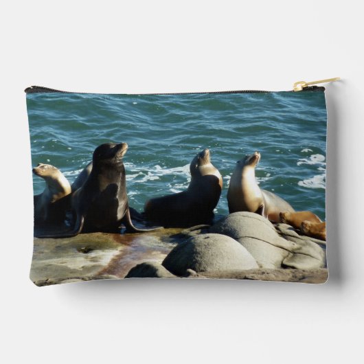 San Diego Sea Lions Etui (Achterkant)