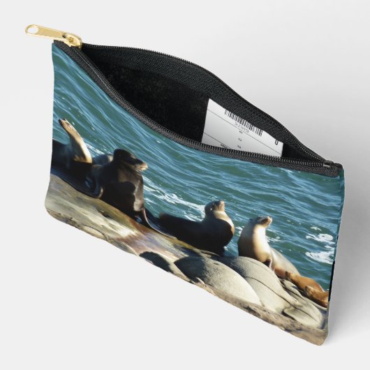San Diego Sea Lions Etui (Open)
